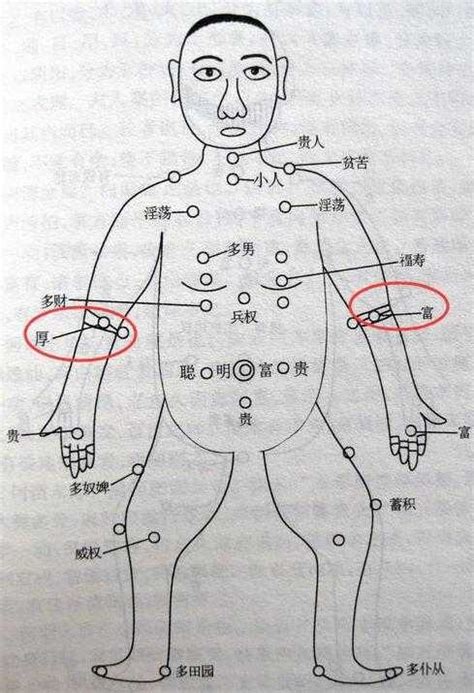 手臂痣图解|痣的位置与命运图解【27图】